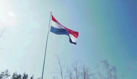 NovaEdit