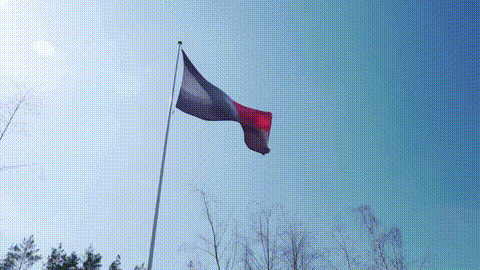 VideoCoF